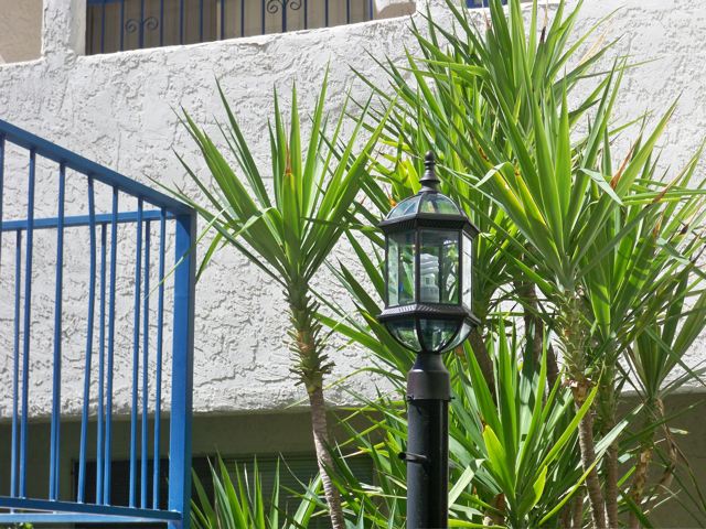 new lamps
