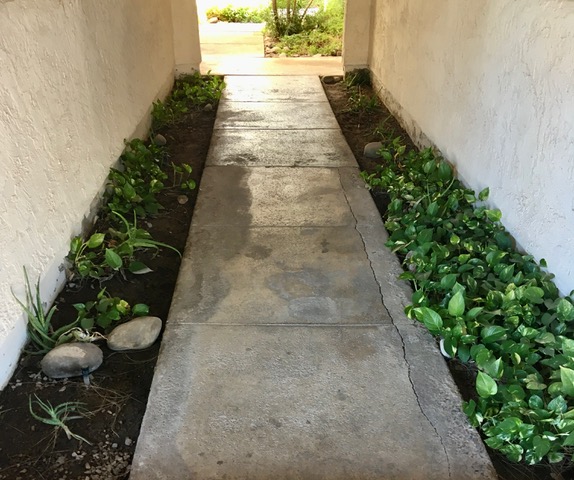 condo after