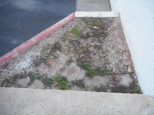 planter-before2